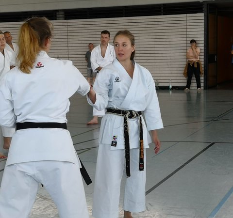 Karate Lehrgang Heinrich und Löwe 