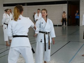 Karate Lehrgang Heinrich und Löwe 